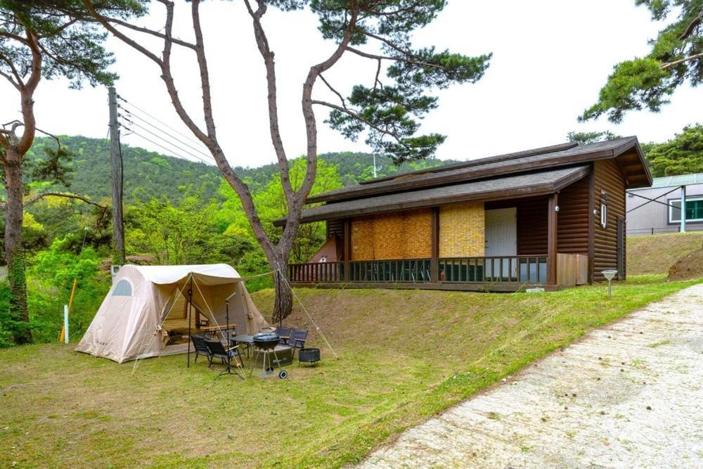 Boryeong Pinovista Pet Allowed Pension Exterior photo